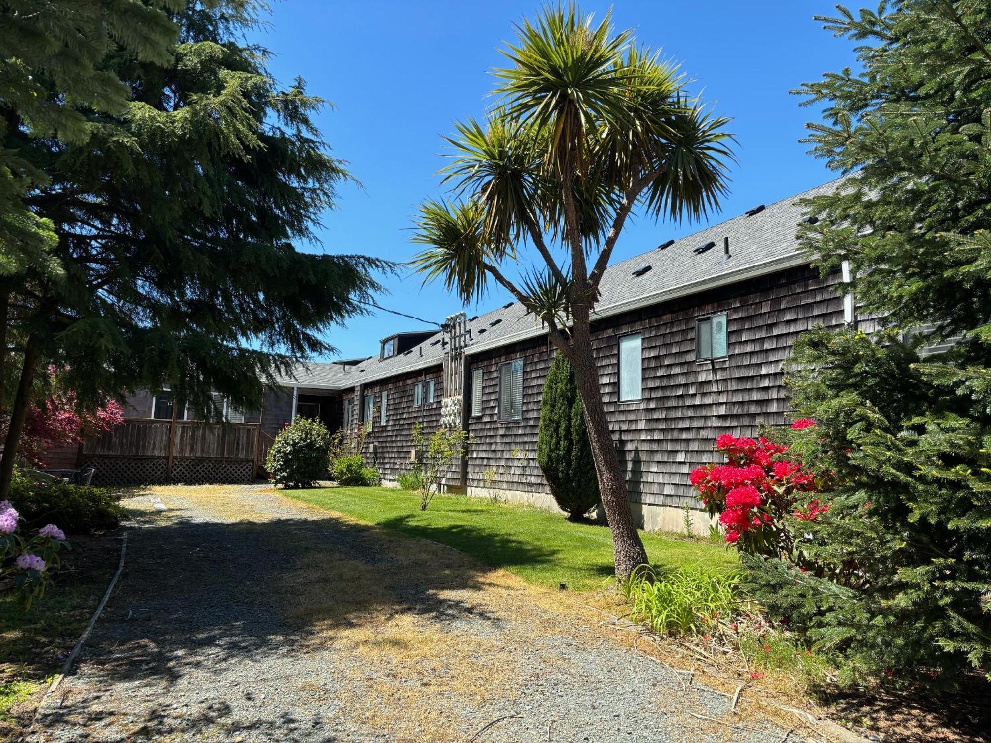 San Dune Inn Manzanita Extérieur photo